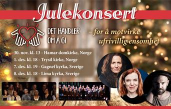 Julekonsert i Hamar domkirke