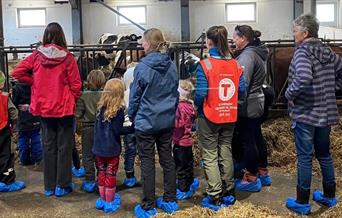 HHT Barnas Turlag: Førjulstur til Jønsberg