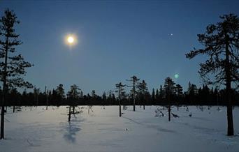HHT Måneskinnstur på ski fra Vollkoia til Blåmyrkoia