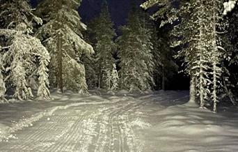 HHT Skitur med hodelykt fra Monaplassen