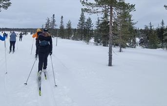 HHT Unge voksne: skitur på Vollkoia