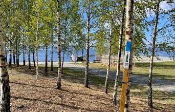 Stolpejakten starter i Hamar