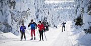 Langrenn på Budor