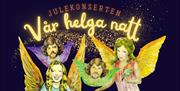 Produktbilde