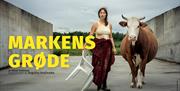 Produktbilde