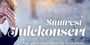 Produktbilde