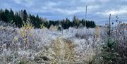 Ilseng paths in winter