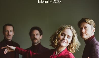 Darling West: Lights – Juleturné 2025