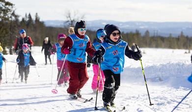 Barnas skileker på Budor