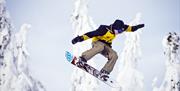 Snowboard Budor