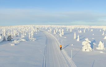 Cross-country ski trails at Hedmarksvidda