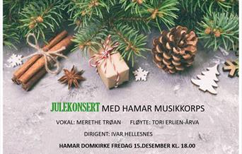 Julekonsert med Hamar musikkorps & gjester