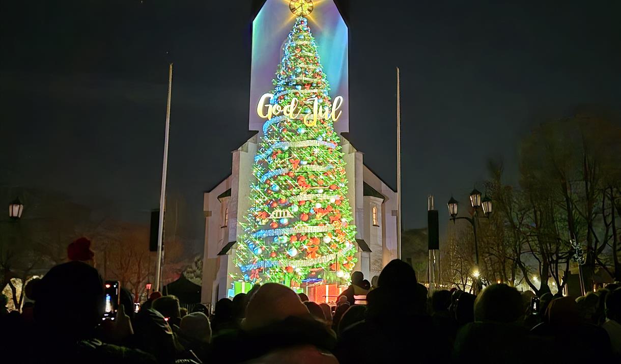 Julevideo på Hamar domkirke Julevideo på Hamar domkirke