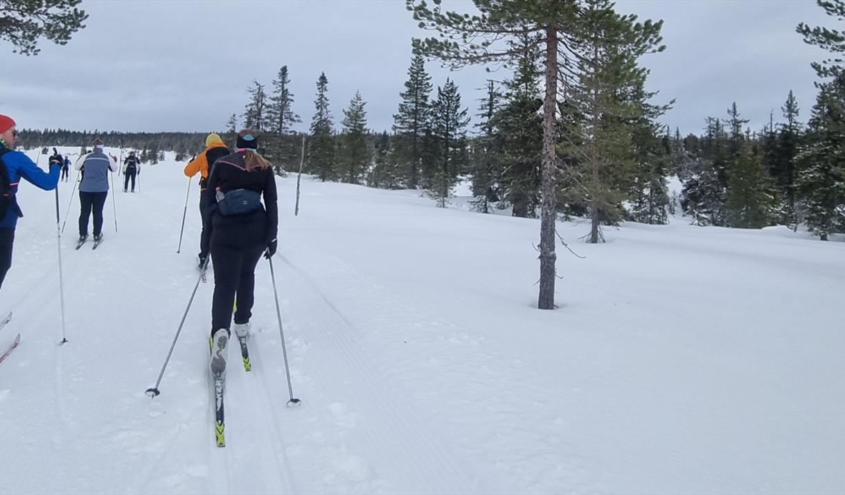 HHT Unge voksne: skitur på Vollkoia