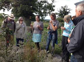 Foraging at Humble by Nature