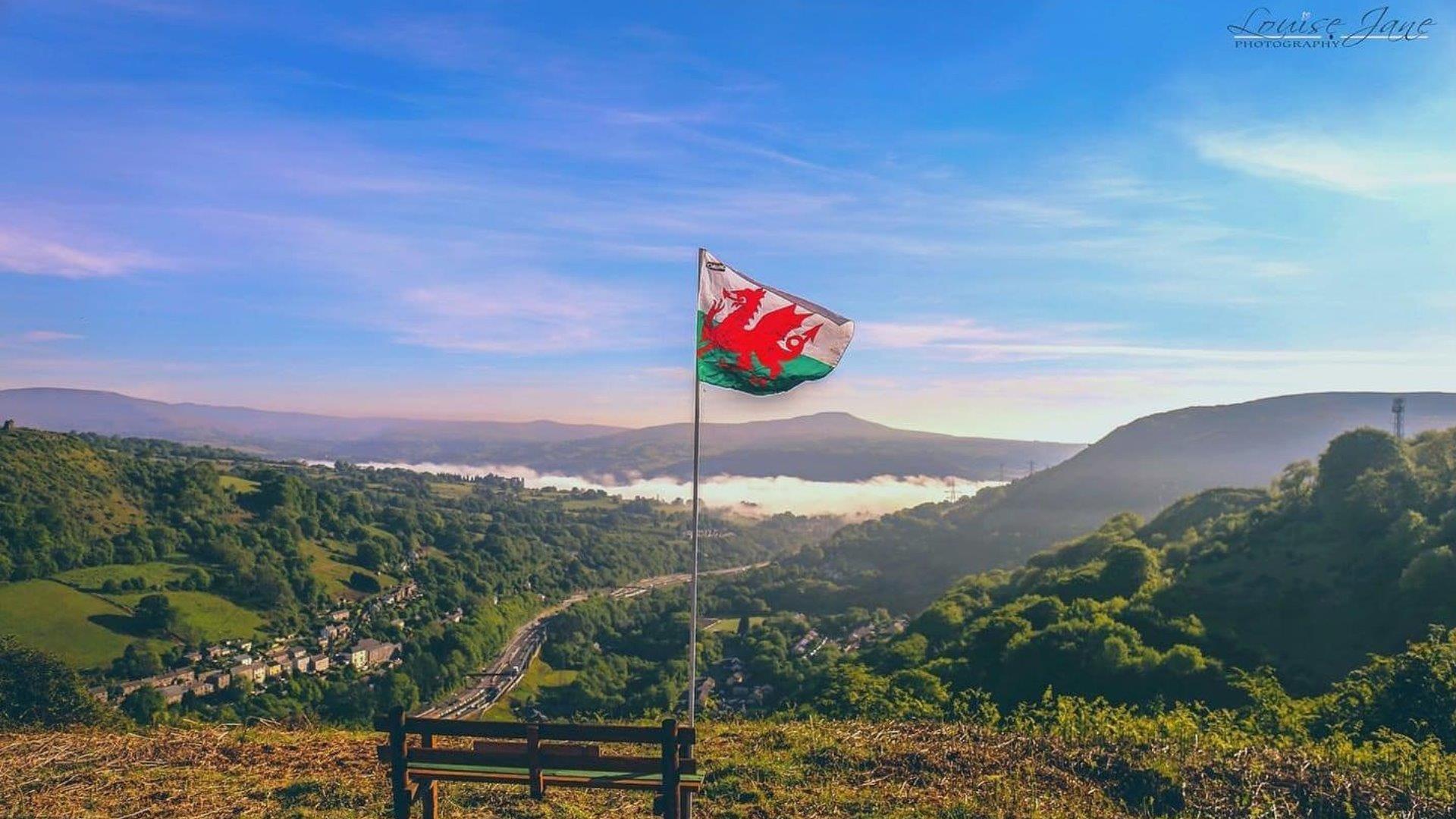 @louisejanephotography St David's Day