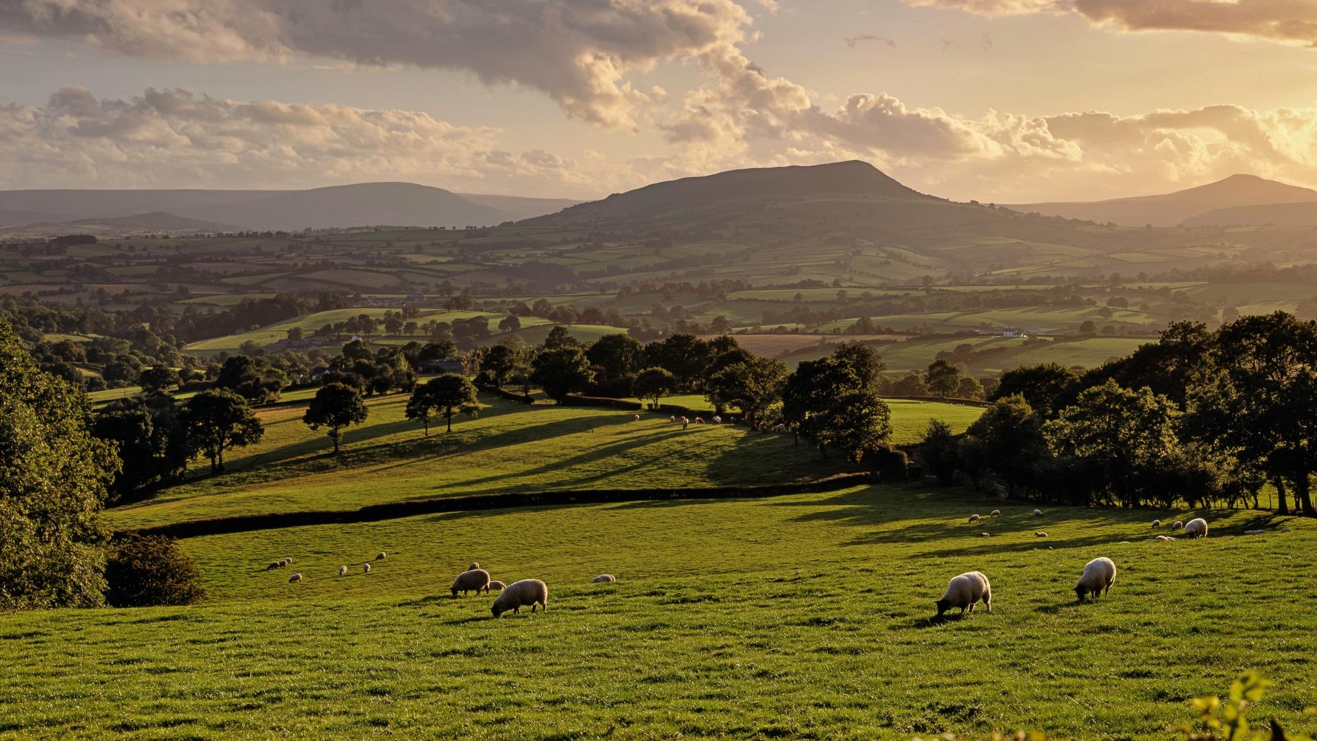 Springtime in Monmouthshire