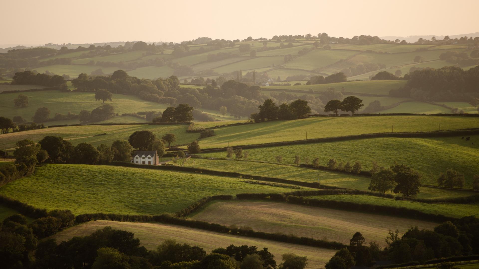 Wye Valley View