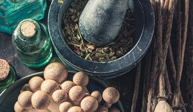 Herbs