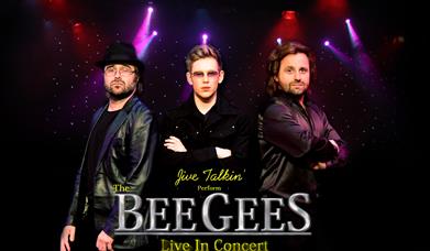 Jive Talkin' perform The Bee Gees Live in Concert