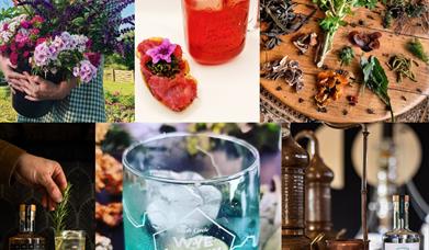 Foraging, cocktails and gin-making