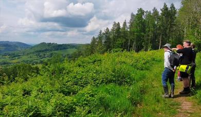 View from Buckholt Wood