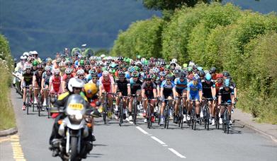 National Road Race Championships