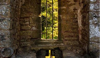 Caldict Castle window Chris Gardner