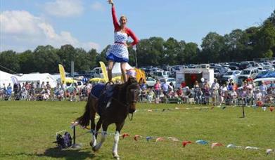 Chepstow Show