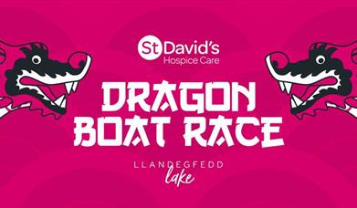 Dragon Boat Race