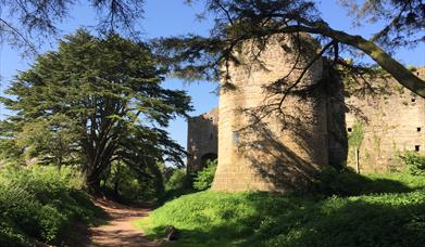 Caldicot Castle