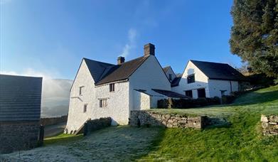 Frosty Llwyn Celyn