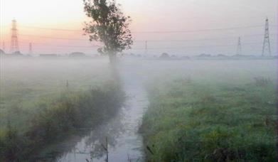 Magor Marsh 