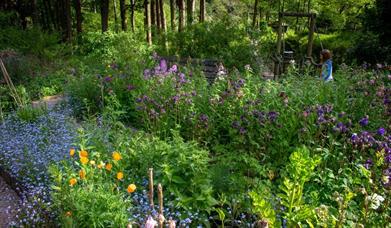 Nant Y Bedd Garden