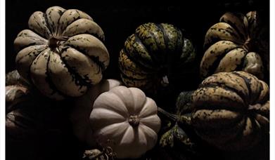 Pumpkins Workshop Abergavenny