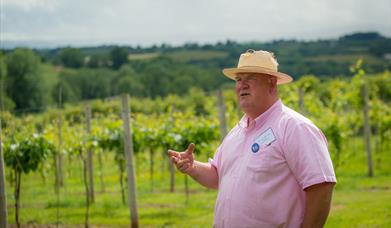 White Castle Vineyard Tour