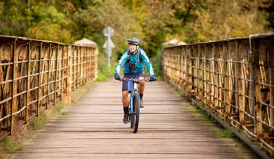 Tintern Wireworks Bridge