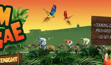 Rum & Reggae Racenight