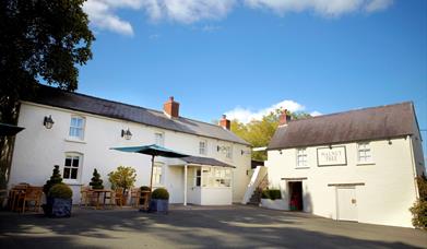 The Walnut Tree