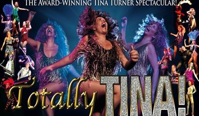 Tina Turner Tribute concert