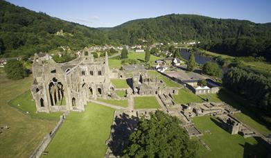 Tintern