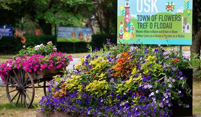 Usk Open Gardens