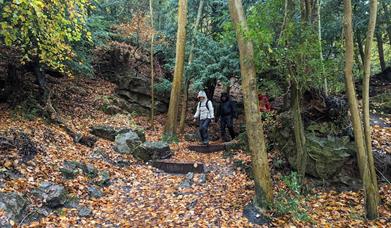 Wales Outdoor Walk