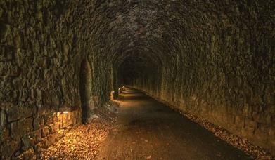 @gjs_jaunts_photography Wye Valley Greenway tunnel