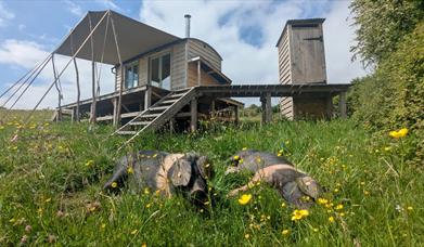 Off-grid glamping, two sustainably built tiny home cabins