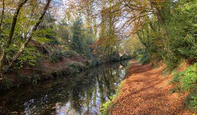 riverside walk in monmouthshire 