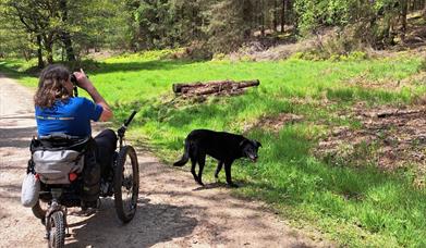 wheelchair ramble Trellech Common bird watching crop