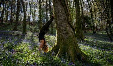 Woodland Yoga Retreat Cardiff  A haven for yoga and spiritual