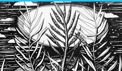 Forest and rivers art trail