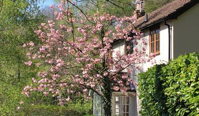 Spring cottage